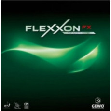 [게보] 플렉션(Flexxon) FX