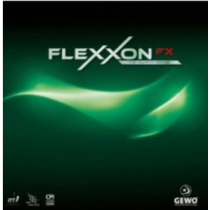 [게보] 플렉션(Flexxon) FX