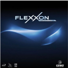 [게보] 플렉션(Flexxon)
