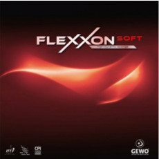 [게보] 플렉션(Flexxon)소프트